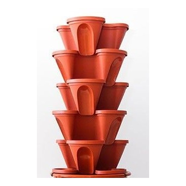 BOX 36 POTS TREBOL+ 36 ECOGARDEN SELF- IRISANA EG12.T GRIDS