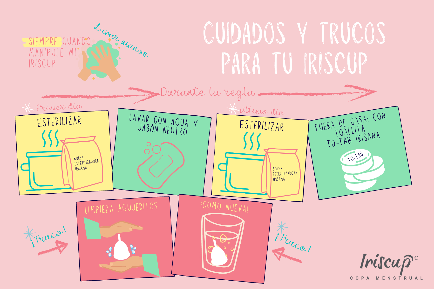 Consejos, cuidados y trucos para tu Iriscup